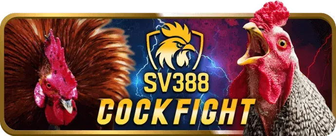 Khám Phá Thế Giới Máy Đánh Bạc và Jackpot tại 678k